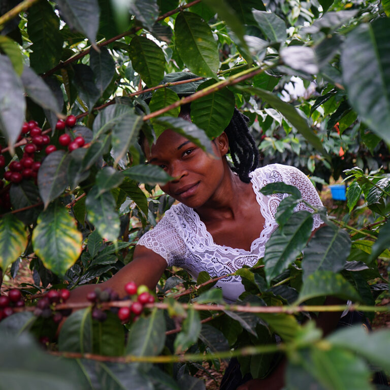 153_Uganda_Muki_Fruity_02