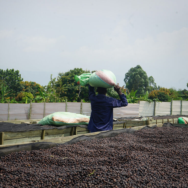 153_Uganda_Muki_Fruity_07