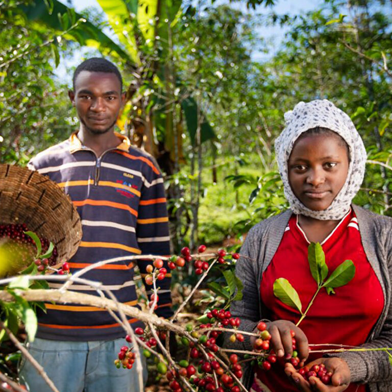 154_Ethiopia_Lalesa-Gedeb_03