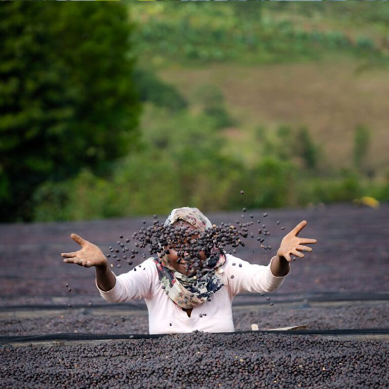 154_Ethiopia_Lalesa-Gedeb_04