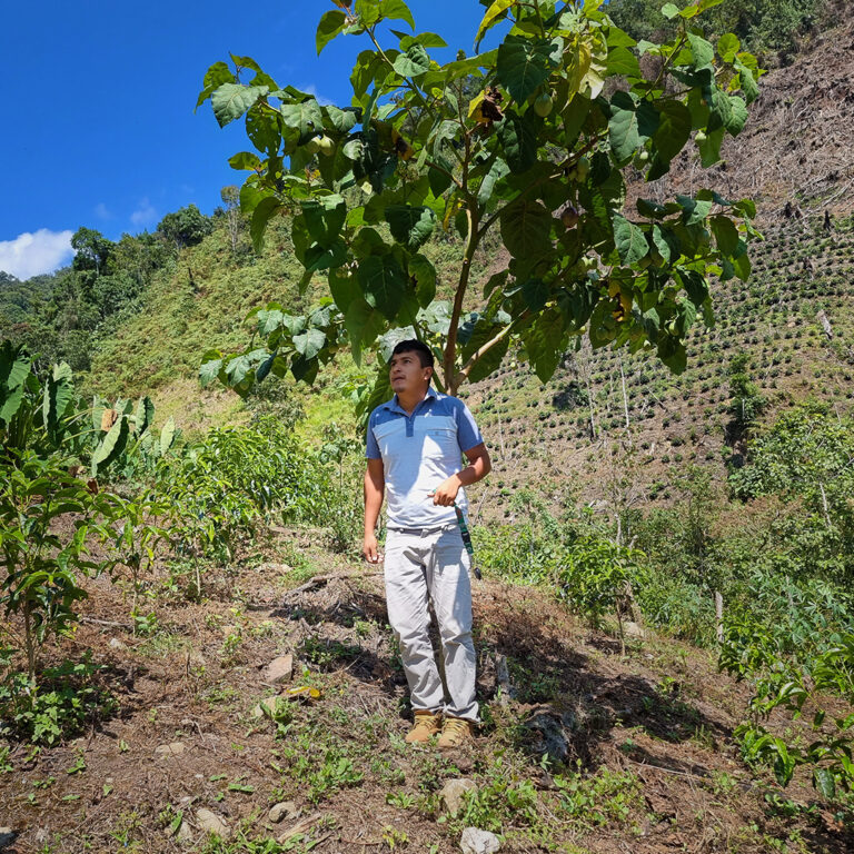 155_Peru_Pedro_Garcia_Diaz_02