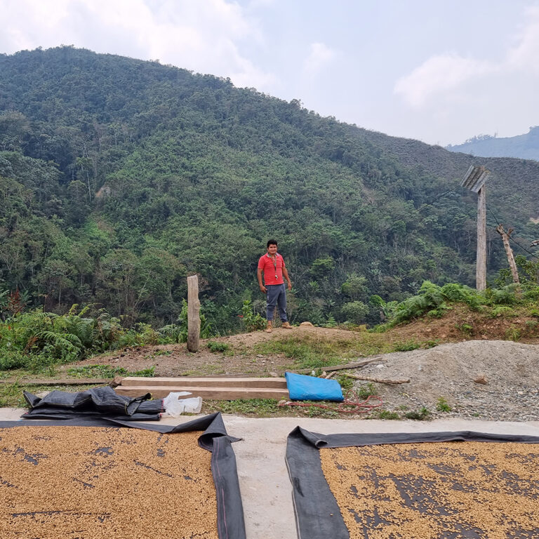 155_Peru_Pedro_Garcia_Diaz_03