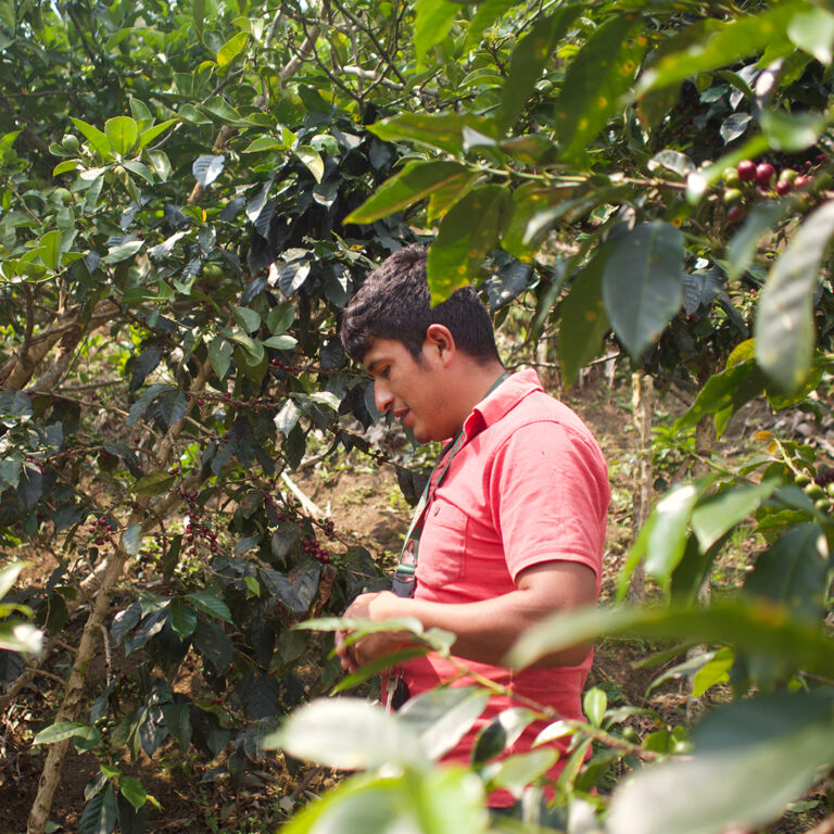 155_Peru_Pedro_Garcia_Diaz_07