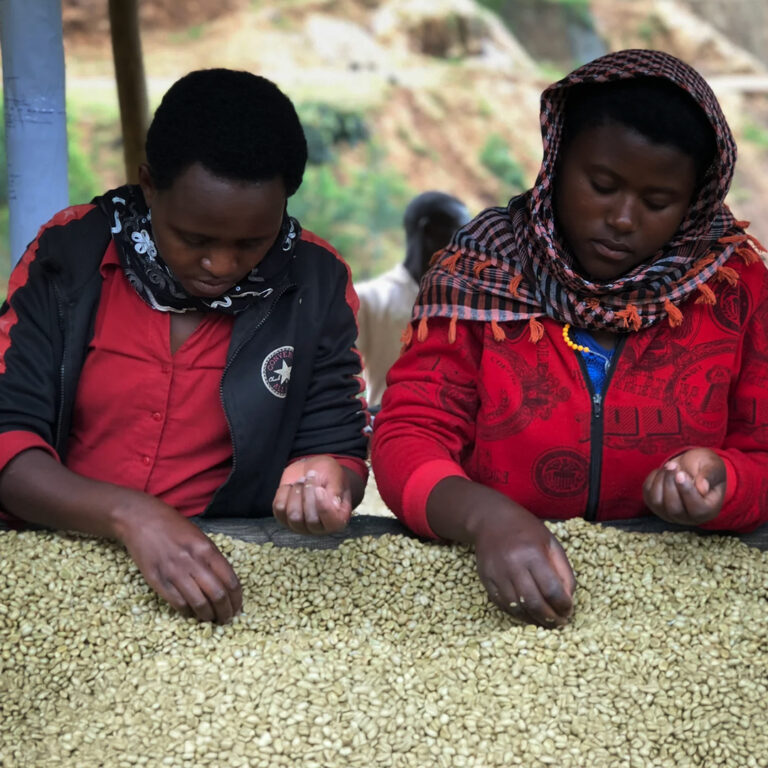 158_RWANDA_Impinga_insta_2