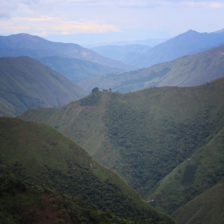 Peru-Edison-Estela-farma