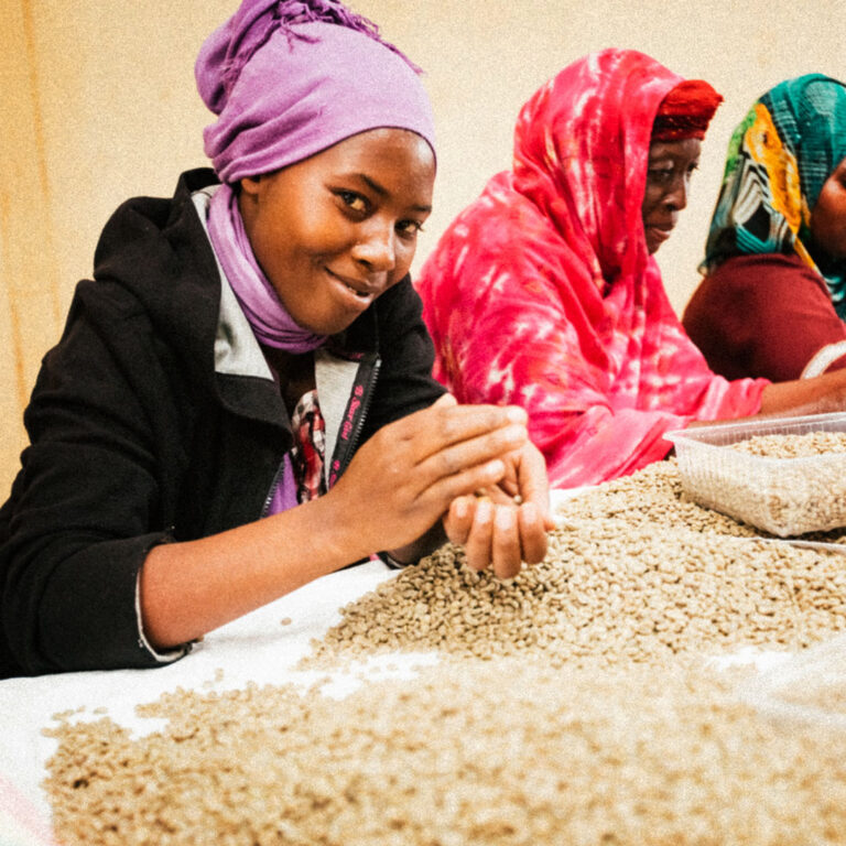 Rwanda-Bisoke-washing-station-2