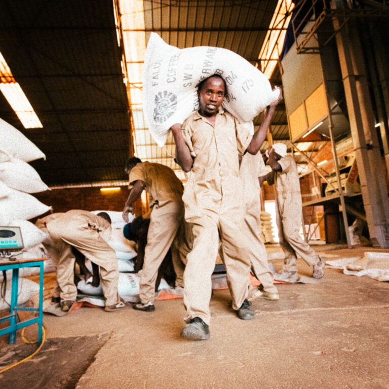 Rwanda-Bisoke-washing-station