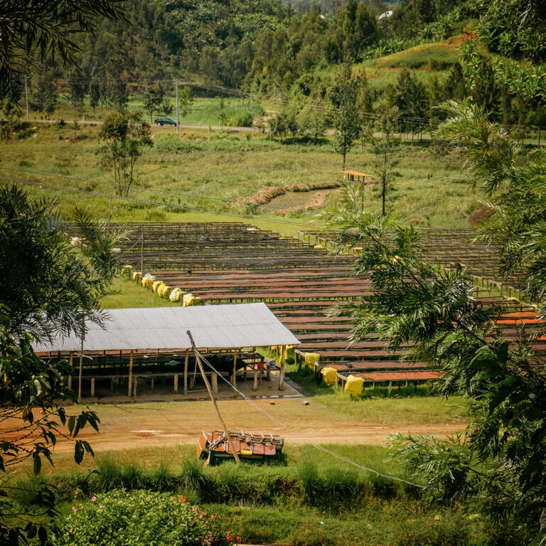 Rwanda Kirambo farma