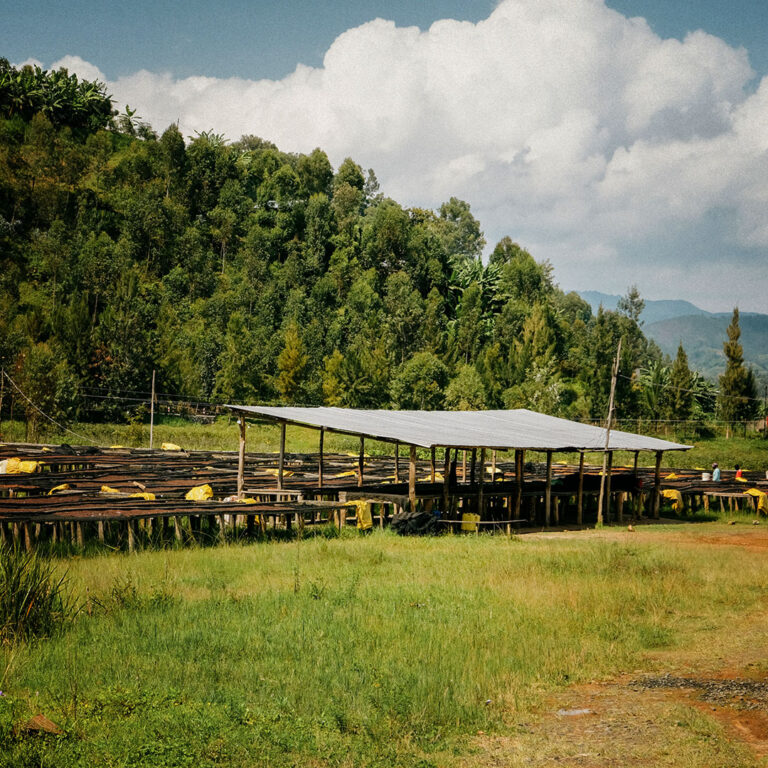 Rwanda Kirambo farma