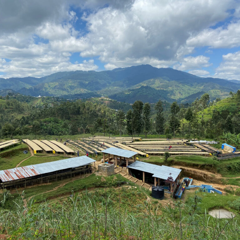 Farma Rwanda Cyato