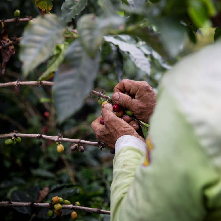 Colombia-Villamaria-01