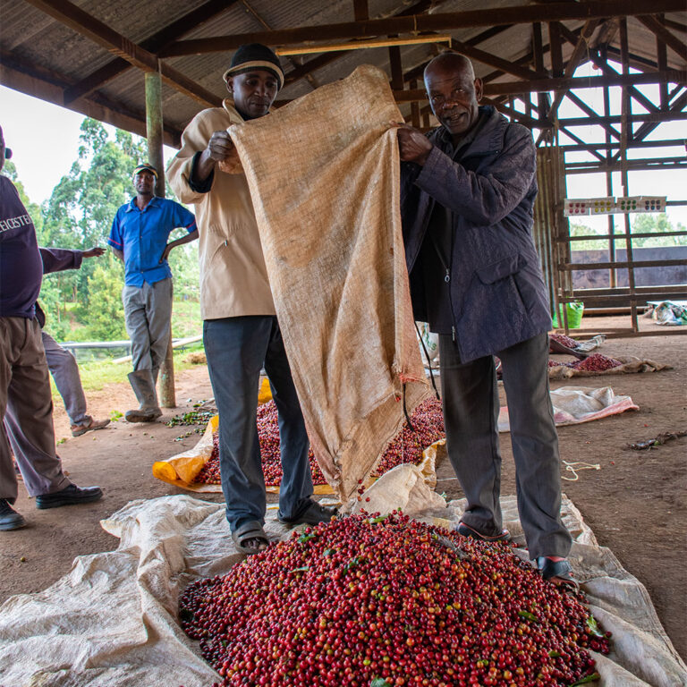 Kena-Nguguini-farm-01