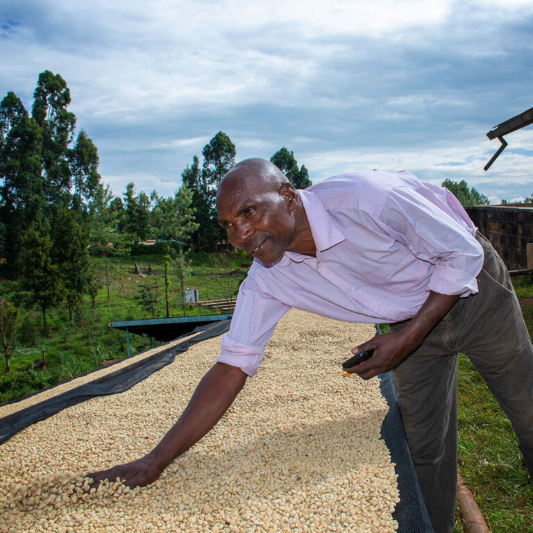 Kena-Nguguini-farm-03